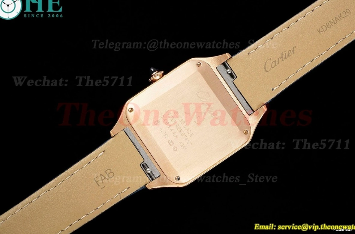 Dial Santos Quartz AF Blue LE Silver RG Dumont 0301